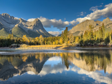 Image by Patricia Morris