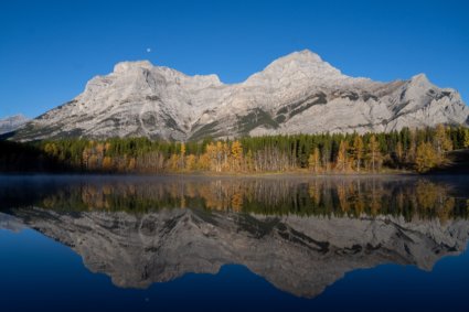 Image by Elaine Chubry