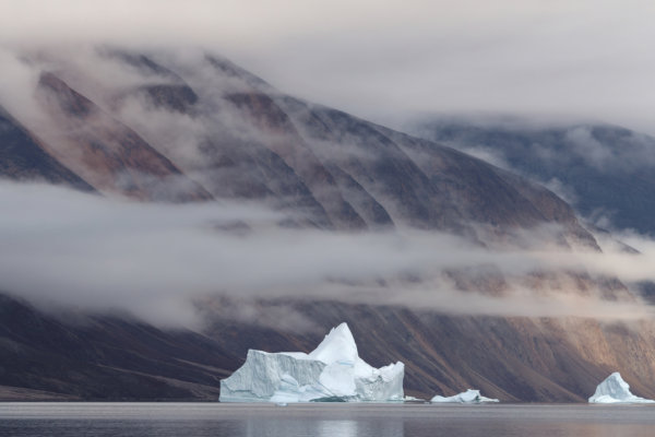 Image by Tim Baker
