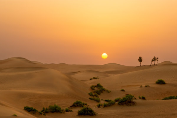 Image by Lucia Griffin