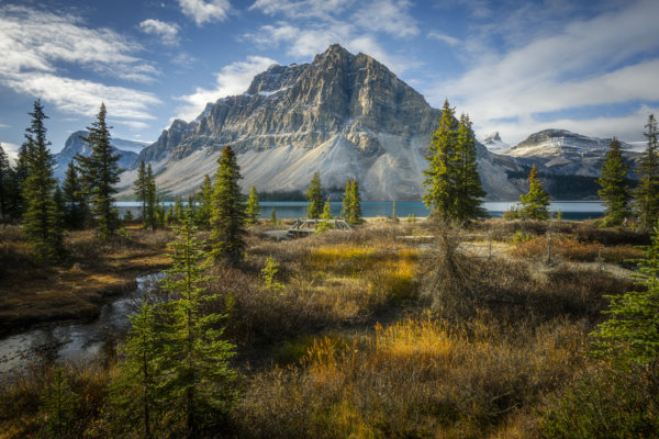 Image by Philip Colet