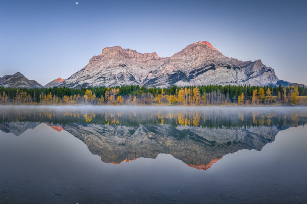 Image by Sasha Sadilova