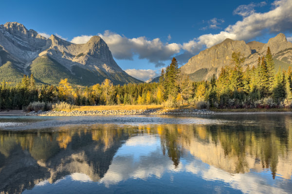 Image by Patricia Morris