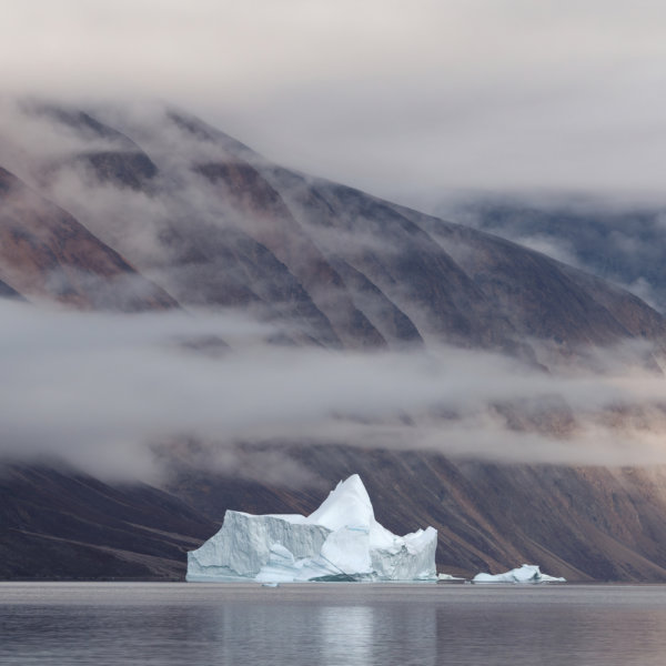 Image by Tim Baker
