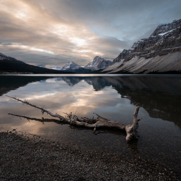 Image by Andreas Orfanos