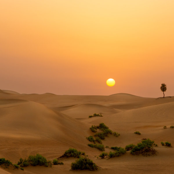 Image by Lucia Griffin