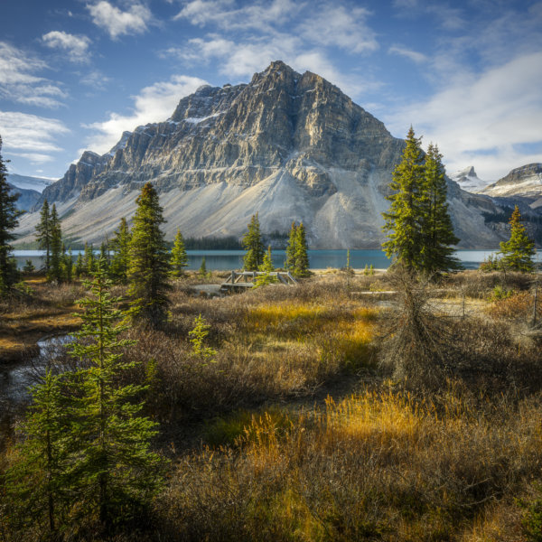 Image by Philip Colet