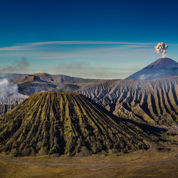 Image by Guy P Larin