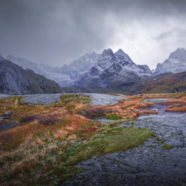 Image by Sasha Sadilova