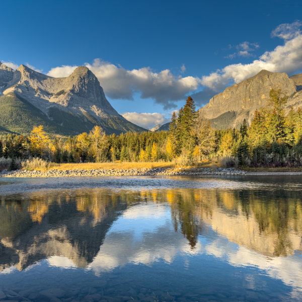 Image by Patricia Morris