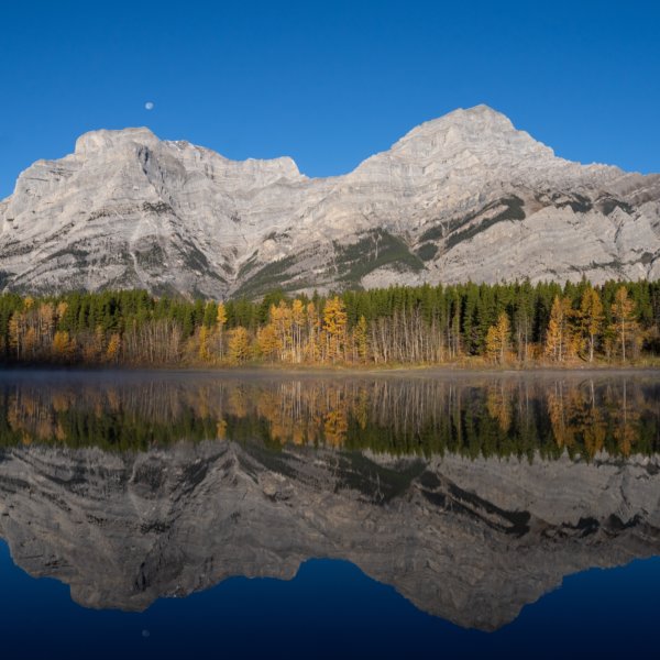 Image by Elaine Chubry