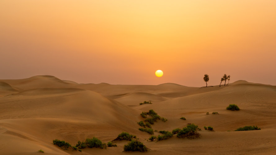 Landscape Competition